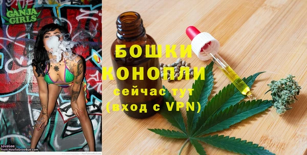 ГАЛЛЮЦИНОГЕННЫЕ ГРИБЫ Сосновый Бор