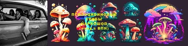 меф Снежногорск