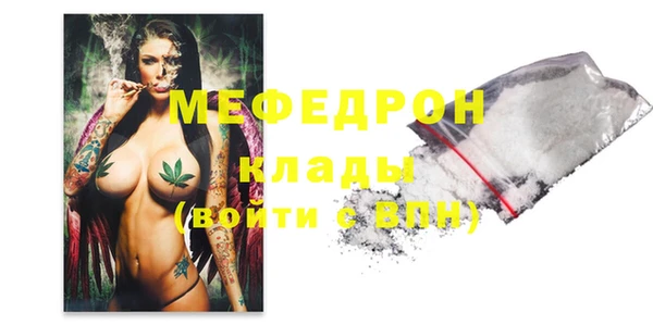 шишки Заречный