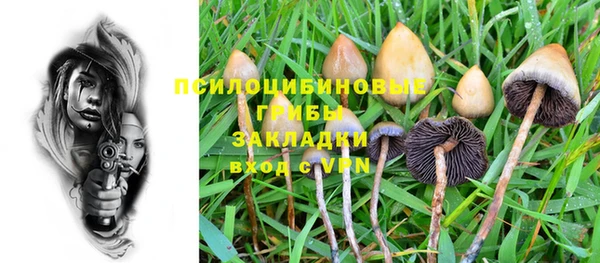 меф Снежногорск