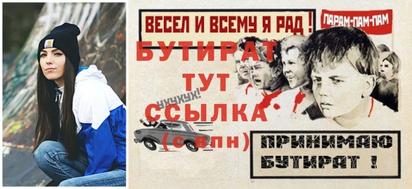 гашик Сосновка