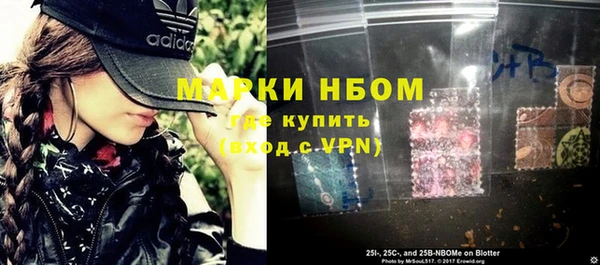 дживик Слюдянка